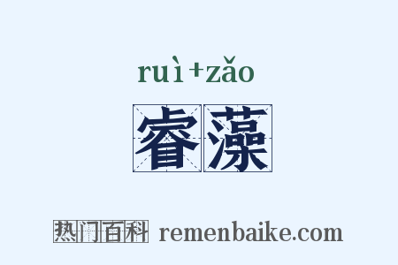 睿藻是什么意思的图片